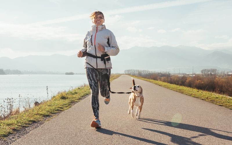 Tailoring your dog's diet for increased activity 